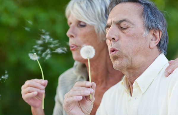 Ehepaar pustet Pusteblume